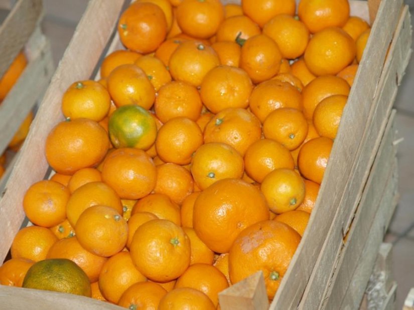 Varaždinski HDZ građanima u petak dijeli 500 kg mandarina