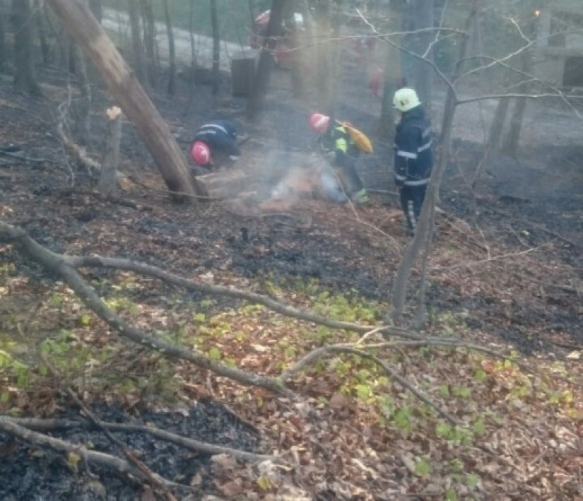 Članovi DVD-a Vinica osiguravali spaljivanje pa naišli na šumu u plamenu