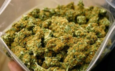 Mladići za 120.000 kuna kupili 12 kg marihuane te je prodavali
