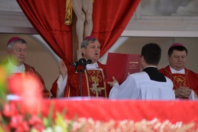 Biskup Košić iz Družbinca u medijima vidi zakamufliranog Sotonu