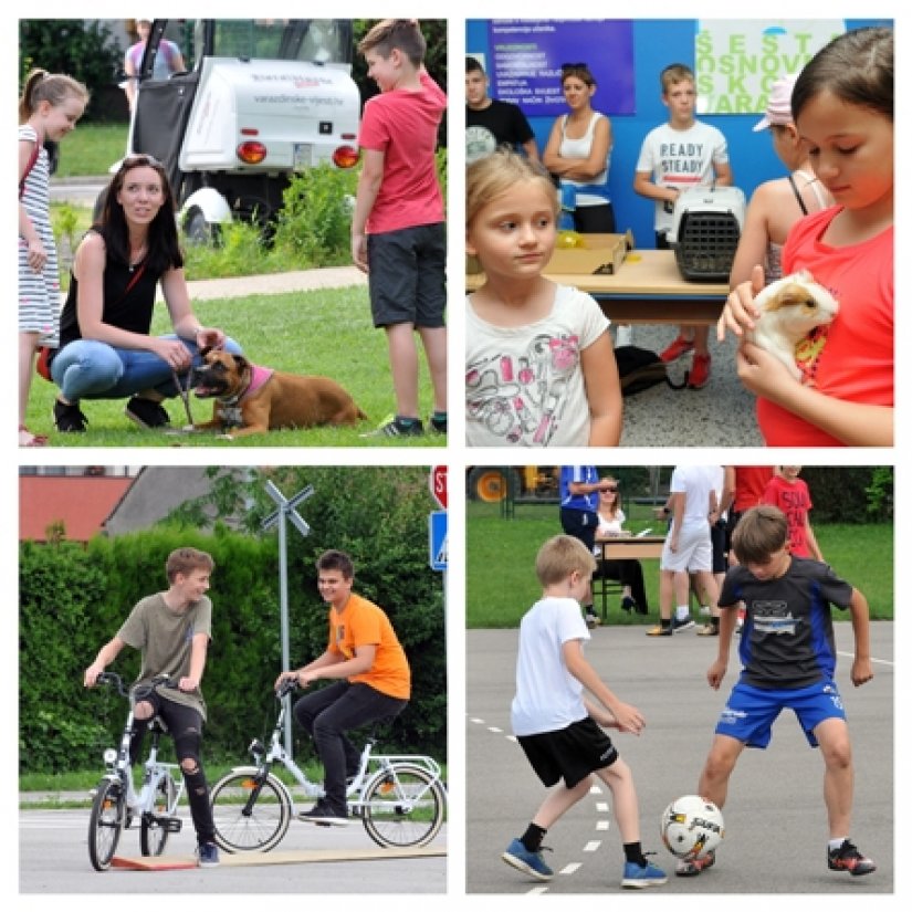 FOTO Učenici 6. OŠ kolegama pokazali svoje ljubimce, ali i kako igraju nogomet i voze bicikl