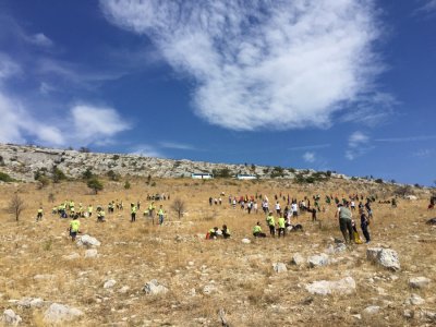 Varaždinski i lepoglavski izviđači pošumljavali opožarena područja Dalmacije