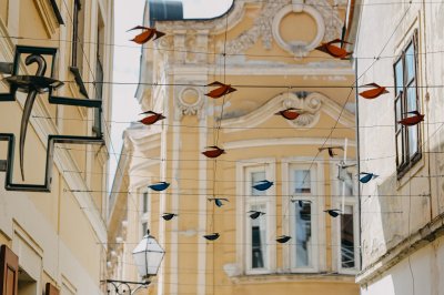 Varaždinska Turistička zajednica pronašla novo &quot;gnijezdo&quot; za instalaciju „Ptice“ u Habdelićevoj ulici