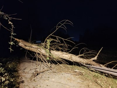 FOTO Srušilo se stablo na pješačku stazu kod Arene Varaždin, oštećen i dio zaštitne ograde