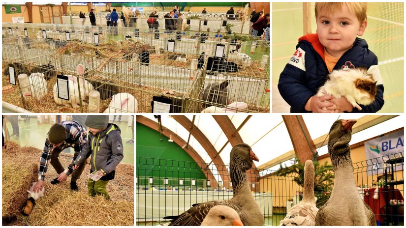 FOTO Izložba malih životinja u Graberju najviše oduševila mališane