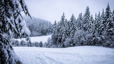 Dugoročne prognoze? Prava zima tek u veljači!