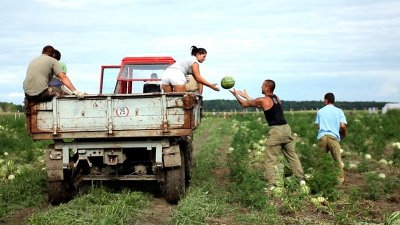 Film „Igrači“ besplatno u VAKUUM-u u sklopu KineDok-a u srijedu