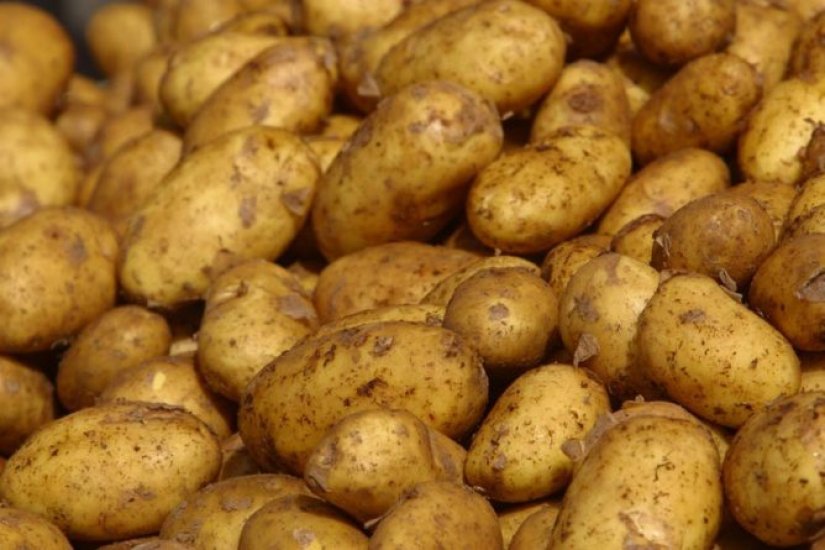 OPG-ovac zagrebačkoj tvrtci isporučio krumpir, no novac nije dobio