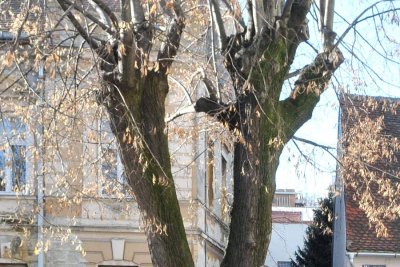 Božićne blagdane je obilježilo suho i stabilno vrijeme