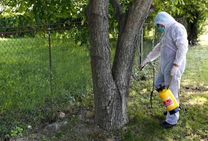 Ivančani, ne kupujte sredstva za trovanje glodavaca, deratizacija je besplatna