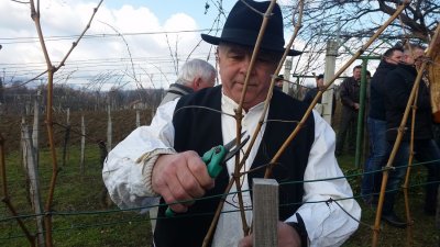 FOTO: Na Visočkoj stezi Udruga Pinta obilježava blagdan Svetog Vinka