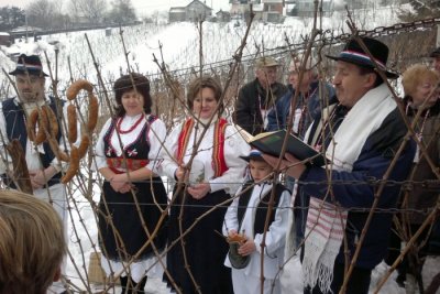 Tradicionalno obilježavanje blagdana sv. Vinka u Zlatnim goricama