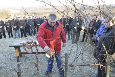Marijan Županić, predsjednik cestičke udruge, obilježio je početak radova u vinogradu