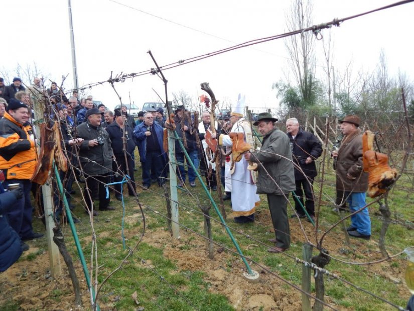 FOTO: Udruga vinogradara Viv-Ber iz Beretinca proslavila blagdan sv. Vinka