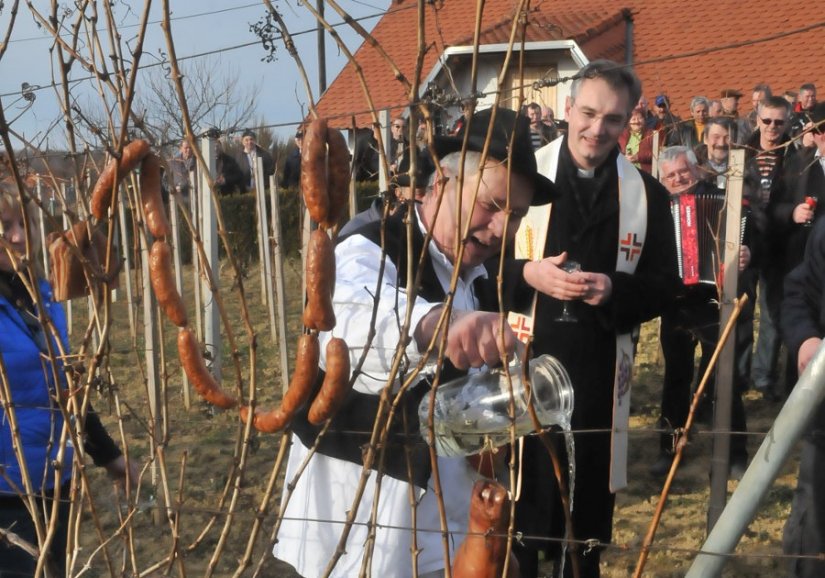 FOTO: Udruga &quot;Grozdek&quot; općine Sveti Ilija veselo proslavila Vincekovo