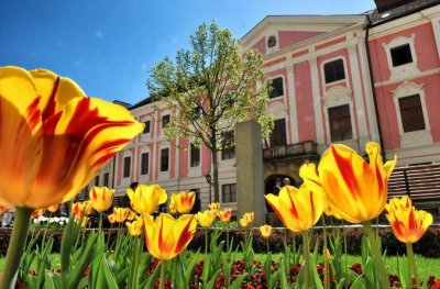 Poziv udrugama za dodjelu jednokratnih potpora