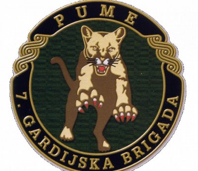 Udruga 7.GBR Puma organizira tribinu povodom 10. obljetnice djelovanja