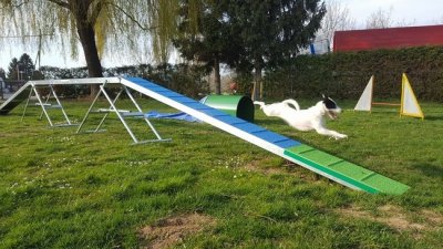 Natjecanje Agility u nedjelju na terenu Kinološkog društva Varaždin