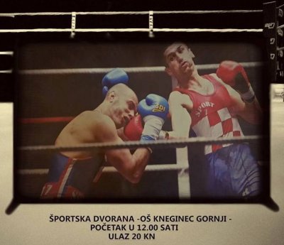 Gornji Kneginec domaćin Prvenstva Hrvatske u combat savateu