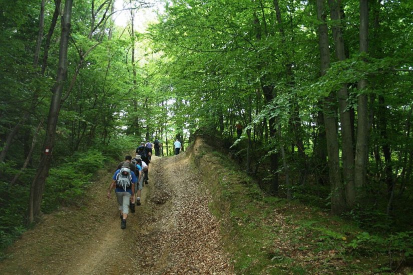 Memorijalnim planinarskim pohodom odali počast poginulim i umrlim ivanečkim braniteljima