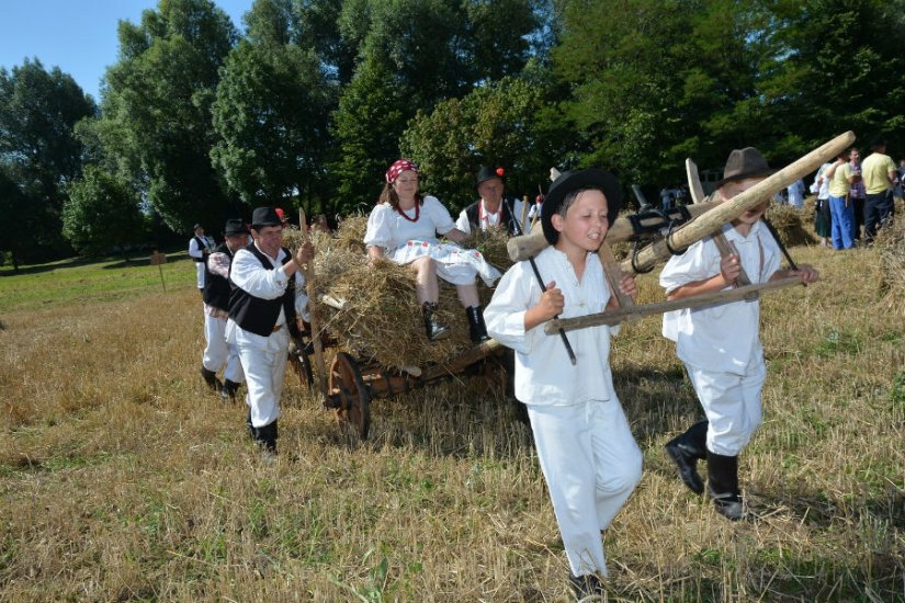 FOTO: U subotu 5. Žetvene svečanosti u Trnovcu uz tradicijsku košnju srpom