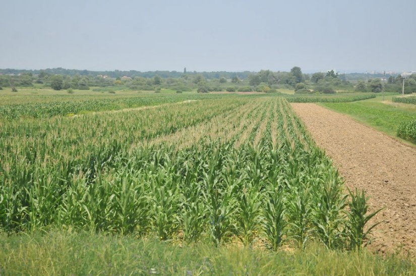 Ruralne općine nezadovoljne novim modelom preraspodjele potpora