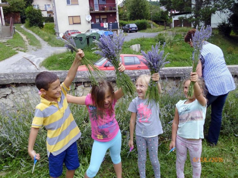 FOTO: Ljubičasta berba u DV &quot;Tratinčica&quot;