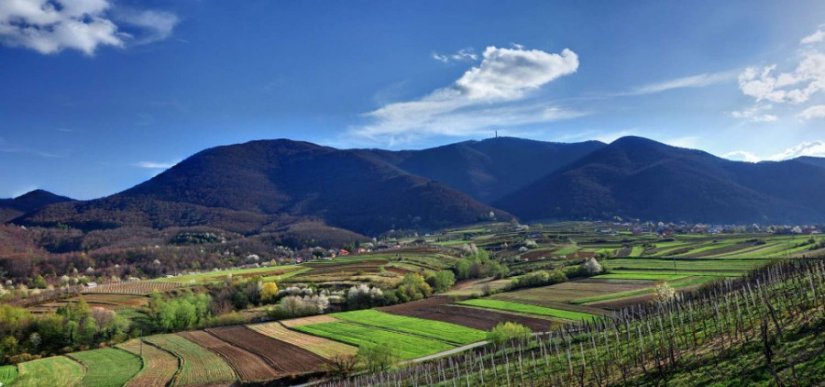 Varaždinski HGSS-ovci spašavali ozlijeđenog planinara na Ivanšćici