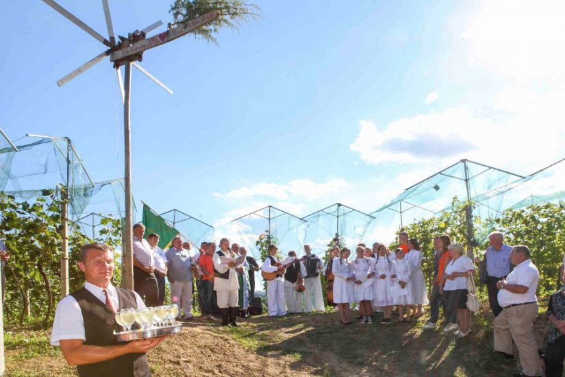 FOTO: Više od 270 vinogradara na postavljanju klopoteca u Osonjaku