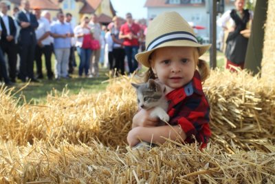 FOTO: Izložba stoke i malih životinja u Ludbregu privukla mnoge posjetitelje
