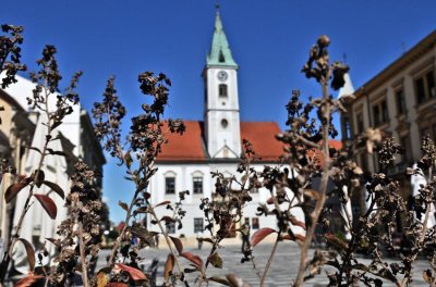 FOTO Stigla nam je jesen, pogledajte prekrasni Varaždin u jesenskim bojama