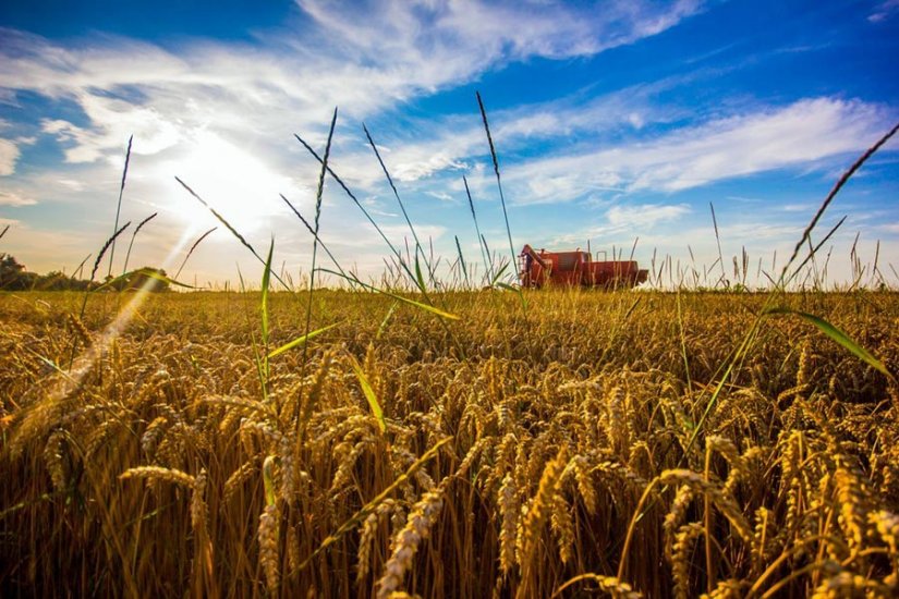 Predavanje o mjerama ruralnog razvoja s ciljem poticanja novih radnih mjesta u poljoprivredi