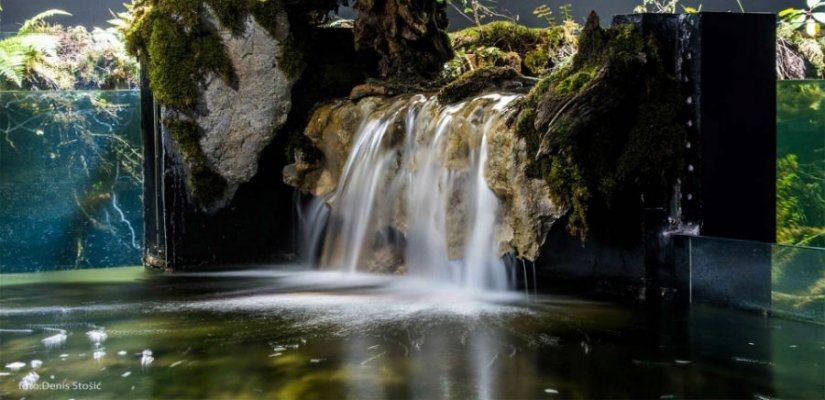 U Karlovcu otvoren slatkovodni akvarij sufinanciran sredstvima iz EU fondova