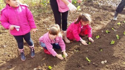 FOTO Mališani iz Tratinčice s veseljem zaprljali ruke u svom vrtu