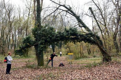 Dođite sutra na Dravu na javni trening i prezentaciju discu golfa