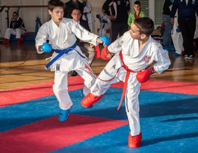 Varaždin 2. po broju osvojenih medalja na 3. Međunarodnom Shito Ryu kupu