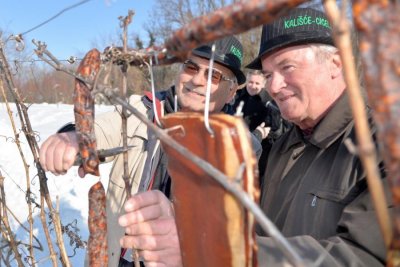 FOTO &quot;Trsek moj, zbudi se, dugo si spal&quot; zazvali su Novomarofčani na 17. Vincekovom