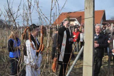 Vinogradari iz općine Sveti Ilija u nedjelju slave blagdan sv. Vinka