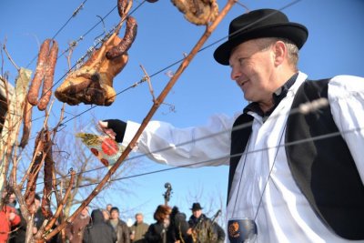 FOTO Članovi udruge Viv-Ber po starim &quot;regulama&quot; započeli vinogradarsku godinu