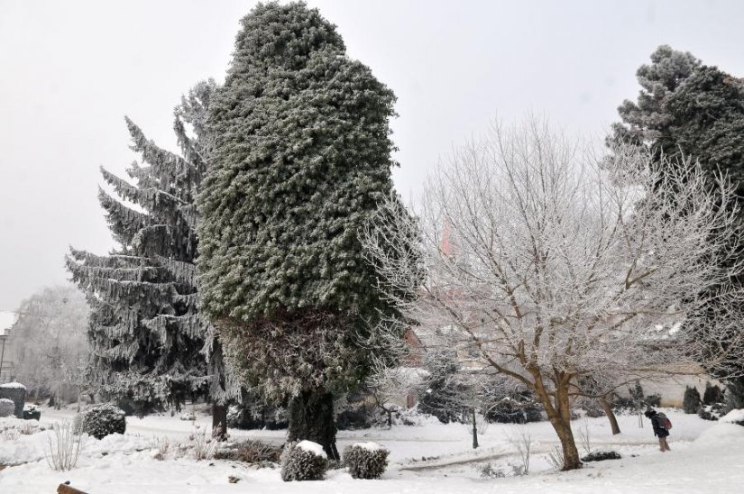 Nakon polarnih hladnoća stiže zatopljenje i temperature do 13 stupnjeva