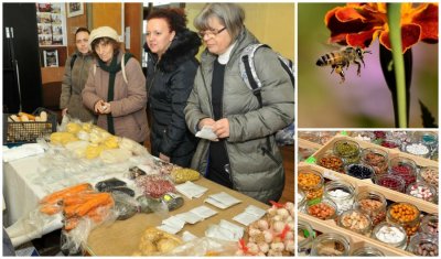 FOTO Silvija Kolar-Fodor: Pčele, bubamare i gliste su saveznici u uzgoju zdrave hrane