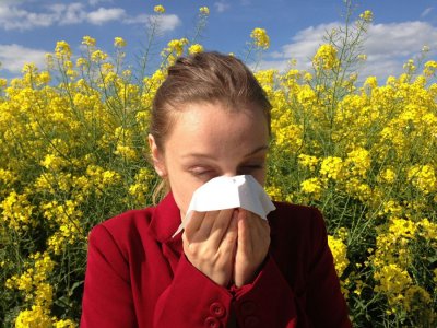 SAVJET STRUČNJAKA Pratite peludni kalendar i spriječite alergije