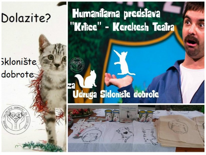 Nasmijte se uz predstavu Krtice Kerekesh Teatara i pomozite mačkama