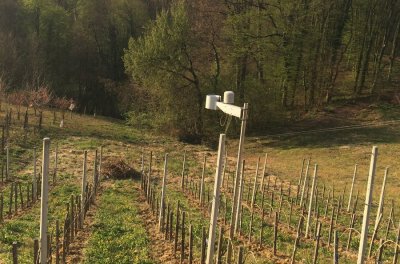 Zaštita vinograda: U &quot;Tužanjskim goricama&quot; postavljen mjerni uređaj &quot;i Metos&quot;