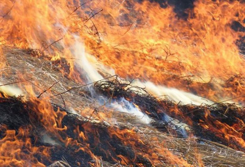 Vatrogasci imali pune ruke posla, sinoć gorjelo i Varaždinsko groblje