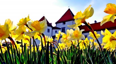 FOTO: Varaždin je ovih dana doslovno &quot;procvjetao&quot;