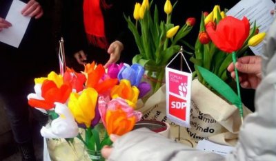 U Lepoglavi sutra humanitarna akcija &quot;Omiljeni cvijet Ane Rukavine&quot;