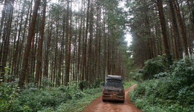 U Oštricama &quot;posudio&quot; automobil pa ga ostavio u šumi u Kelemenu