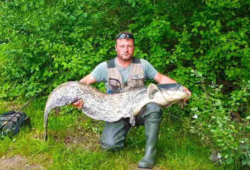 FOTO Cestički ribič u Dravi ulovio &quot;neman&quot; od 31,5 kg!
