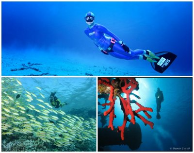 Izložba podvodnih fotografija otvara se danas na FOI-ju